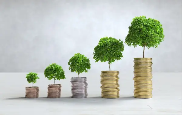 Chỉ số giúp doanh nghiệp biết được tỉ lệ doanh thu bán hàng